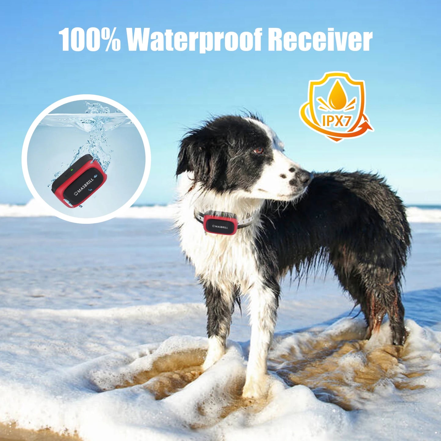 Rechargeable Dog Training Collar