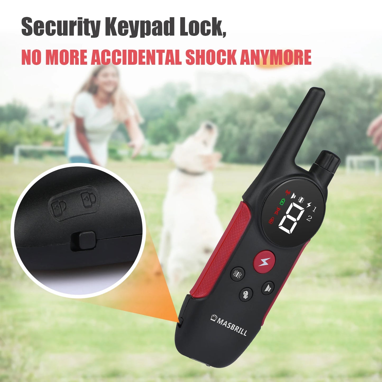 Rechargeable Dog Training Collar