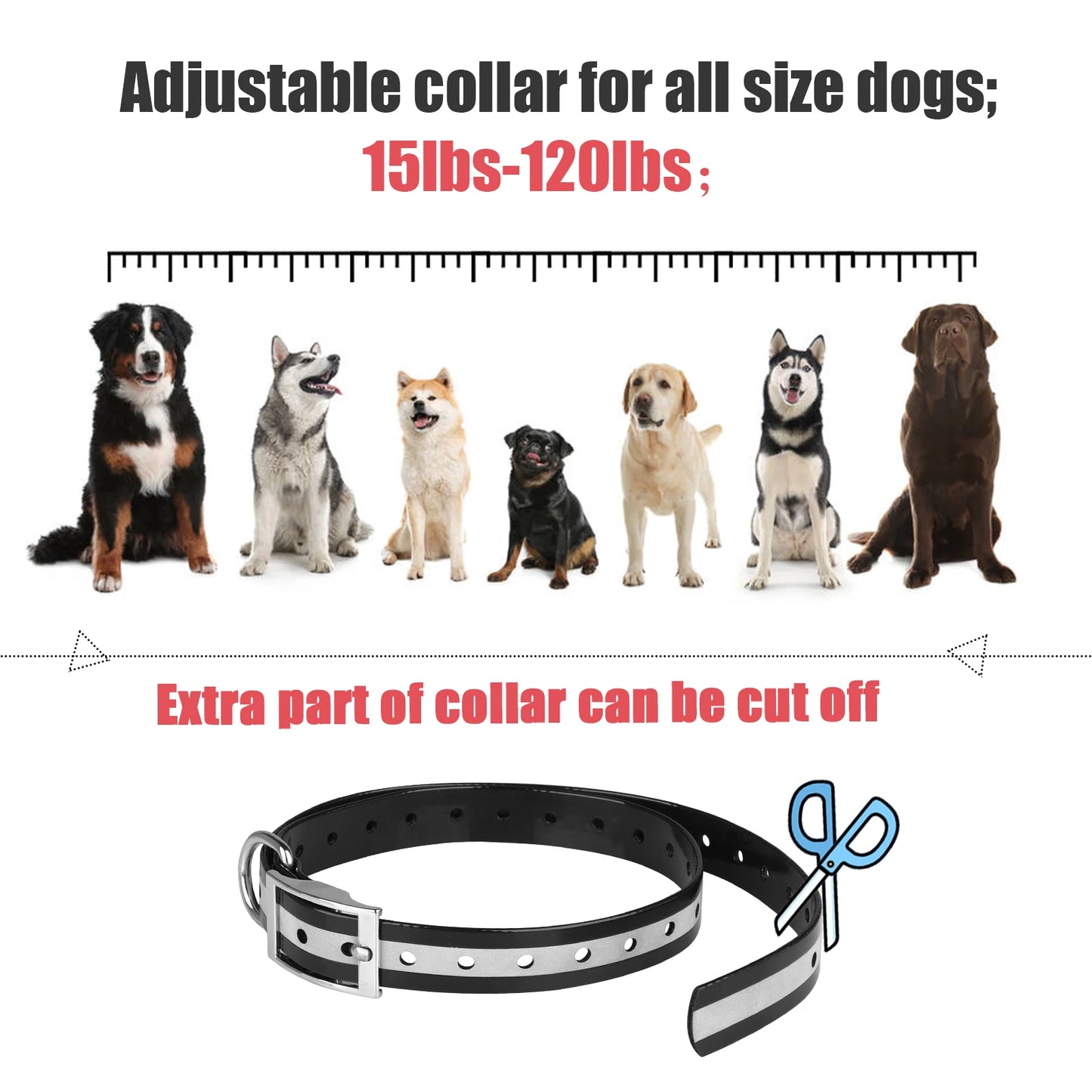 Rechargeable Electric Dog Training Collar