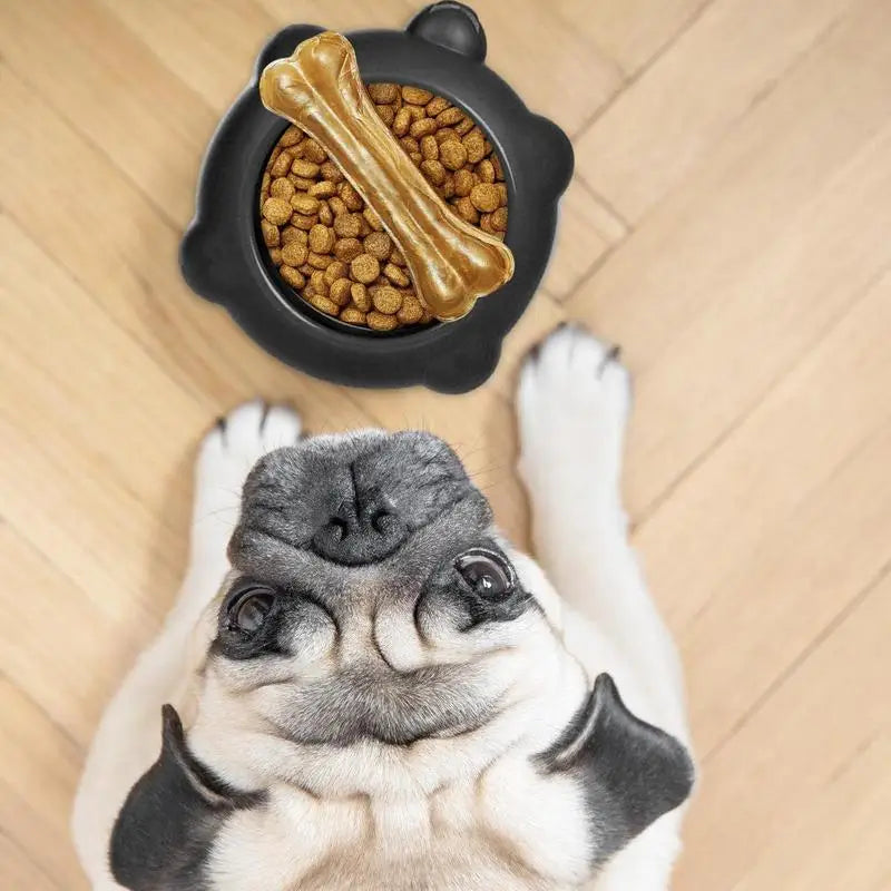 Slow Feeder Cat & Dog Bowl