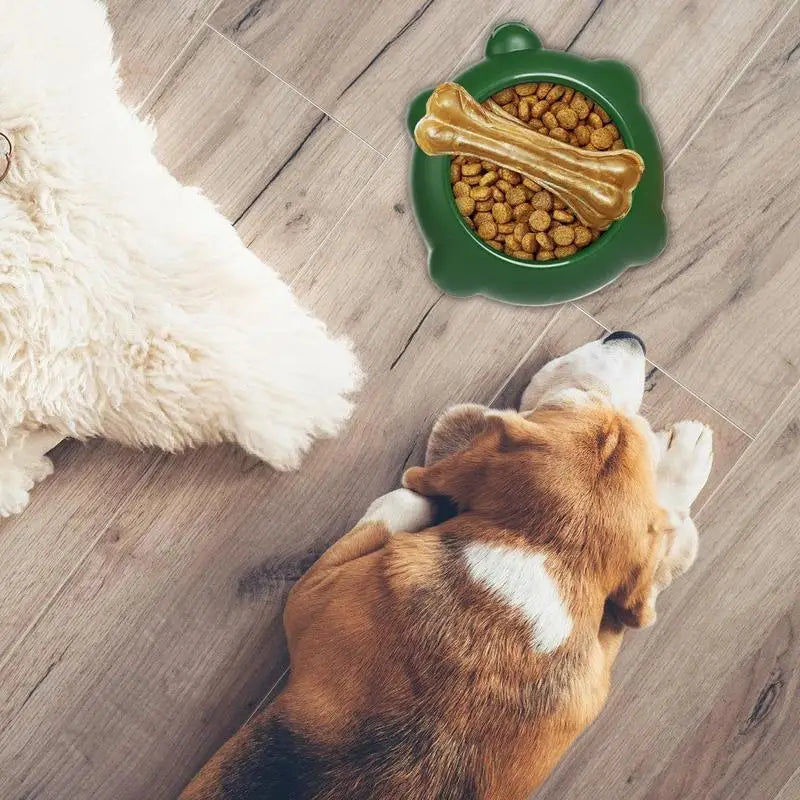Slow Feeder Cat & Dog Bowl