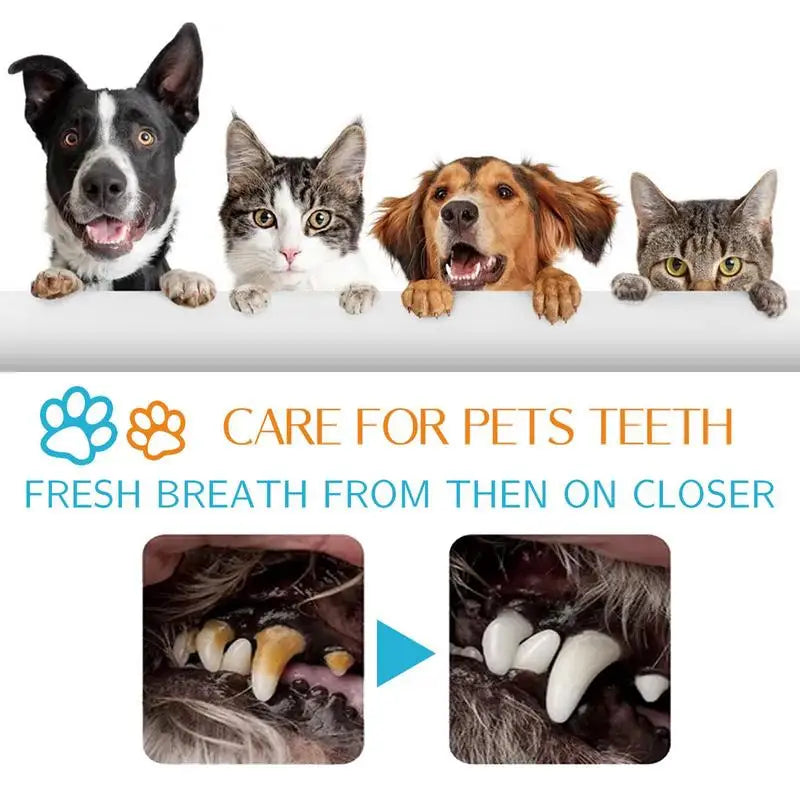 Presoaked Pet Wipes