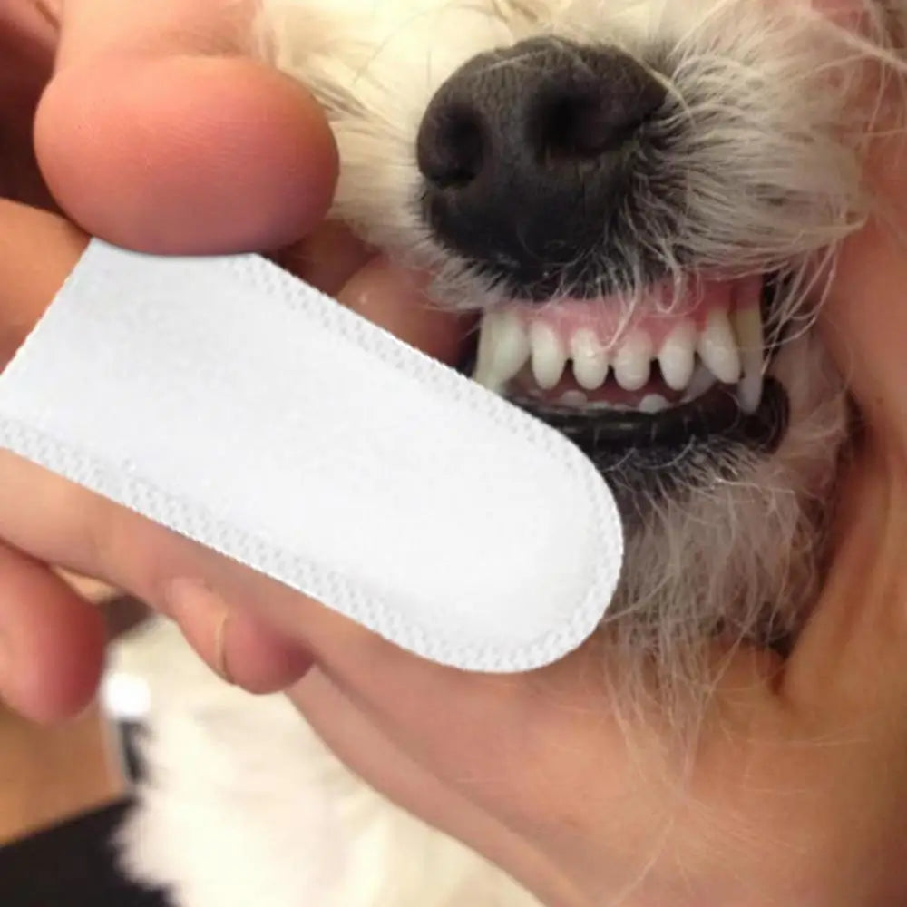 Presoaked Pet Wipes