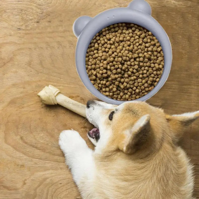 Slow Feeder Cat & Dog Bowl
