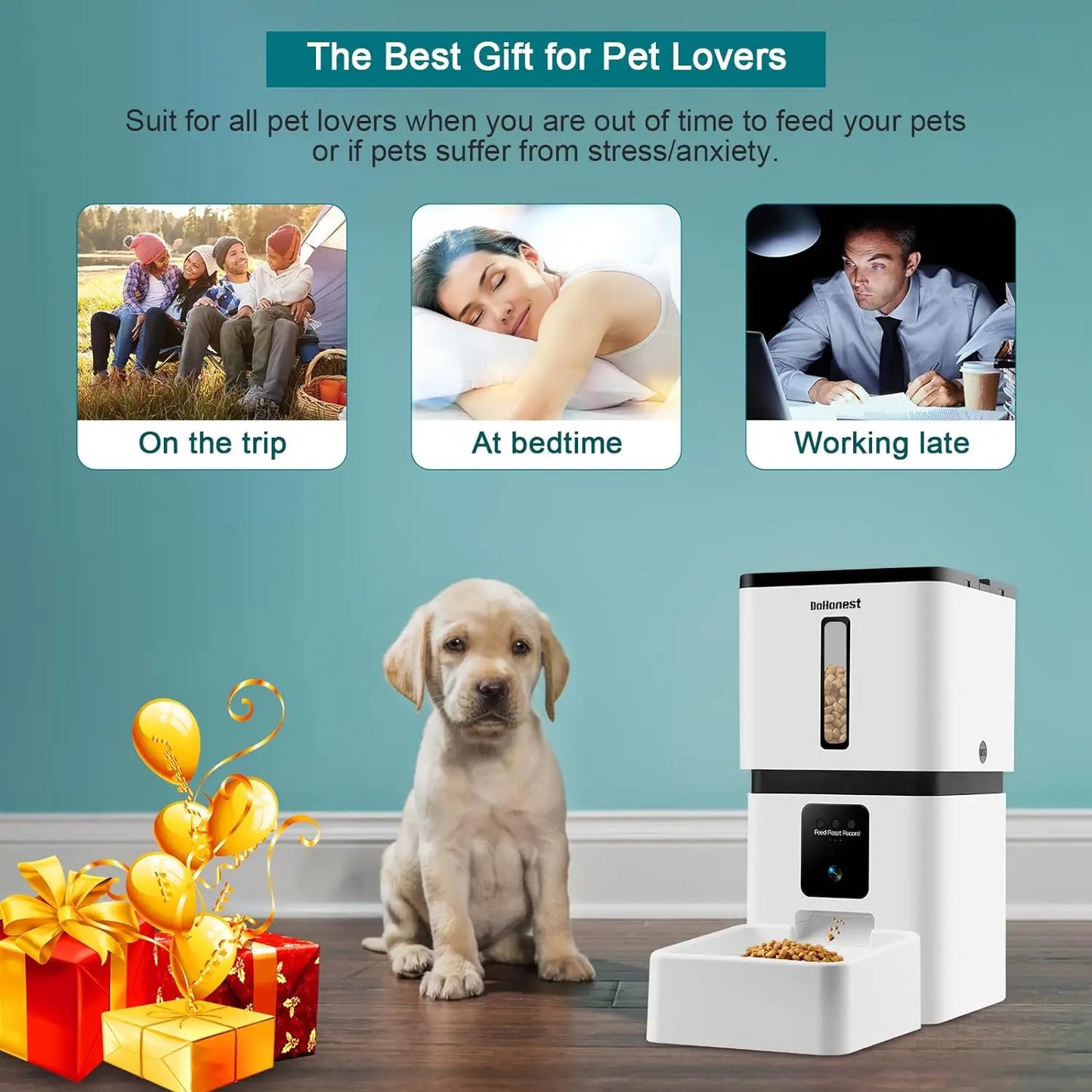 Motion Detection Smart Pet Food Dispenser