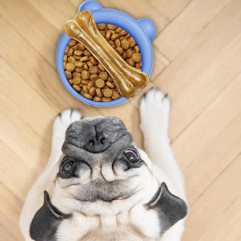 Slow Feeder Cat & Dog Bowl