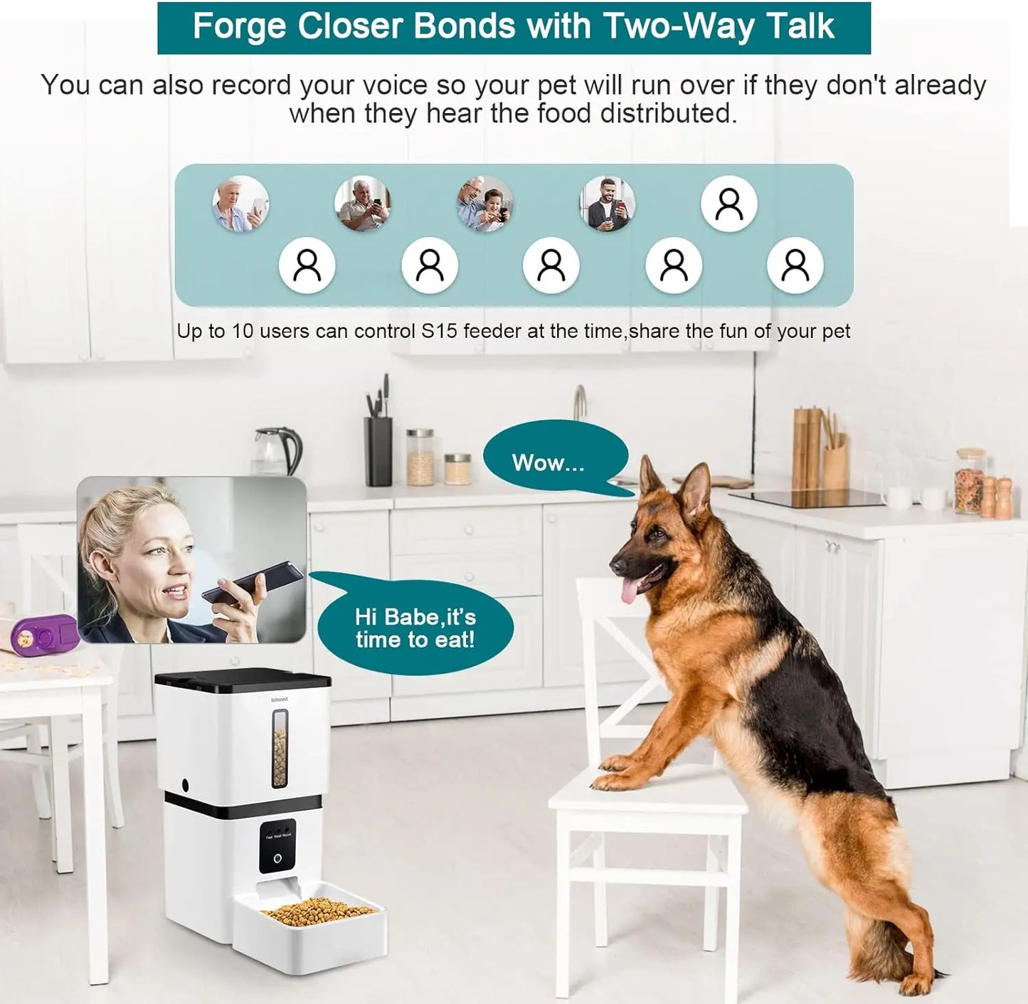 Motion Detection Smart Pet Food Dispenser