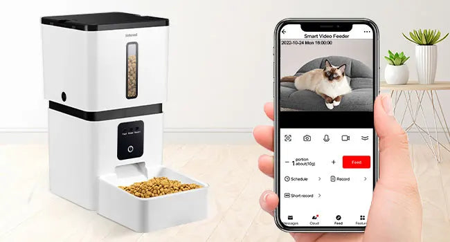 Motion Detection Smart Pet Food Dispenser