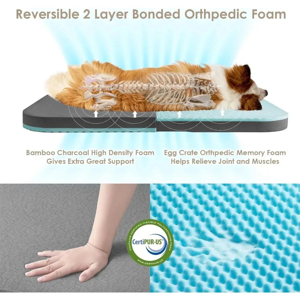Memory Foam Human Sized Dog Bed