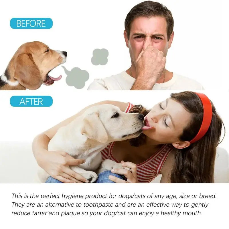 Presoaked Pet Wipes