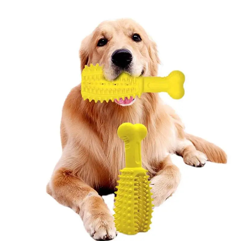 Dog Toothbrush Chew Toy
